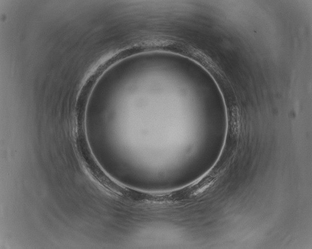 X0000072990726200607211158