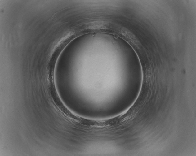 X0000072990727200607211158