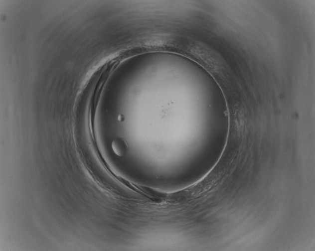 X0000072990728200607211158