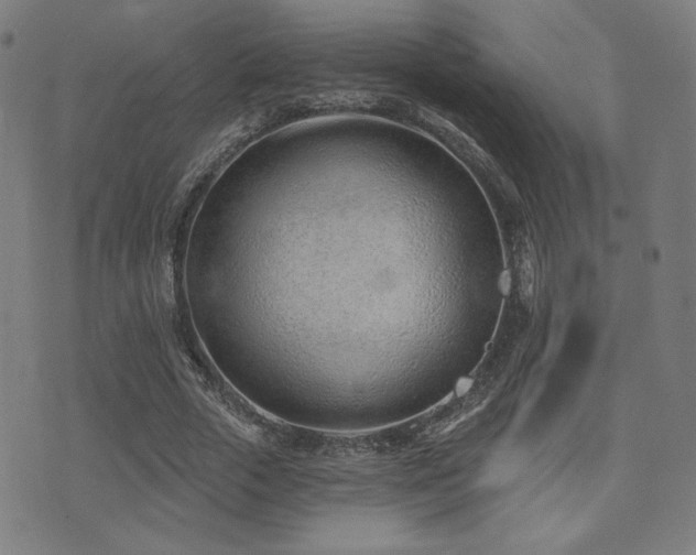 X0000072990729200607211158