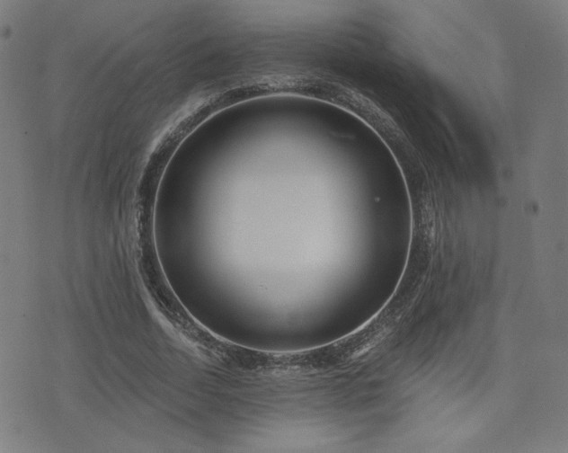 X0000072990730200607211158