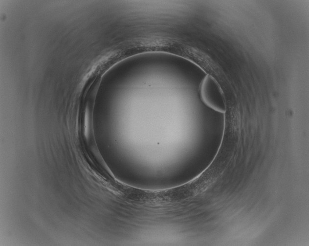 X0000072990731200607211158