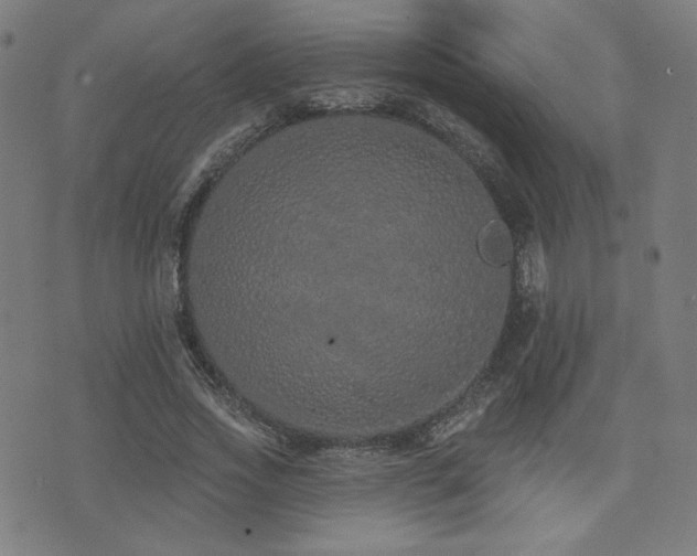 X0000072990733200607211158