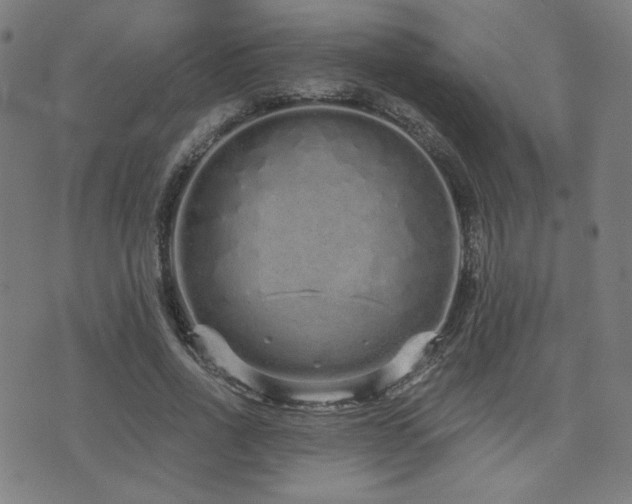 X0000072990734200607211158