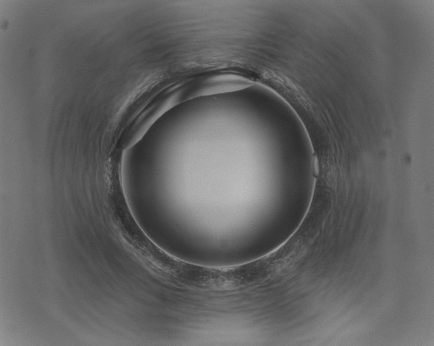 X0000072990735200607211158