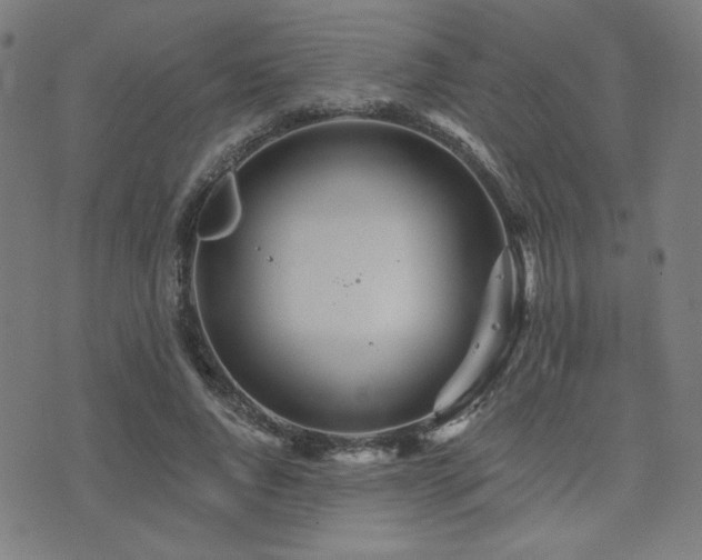 X0000072990736200607211158