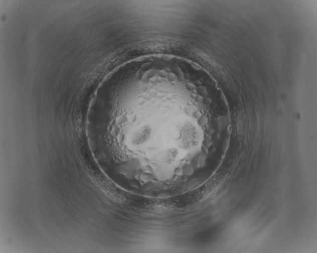 X0000072990737200607211158