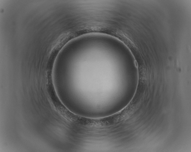 X0000072990738200607211158