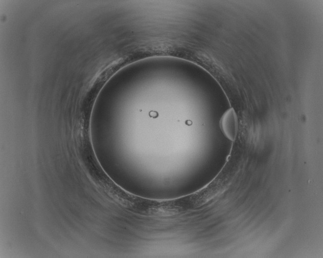 X0000072990739200607211158