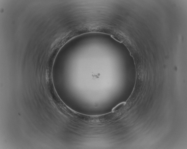 X0000072990740200607211158