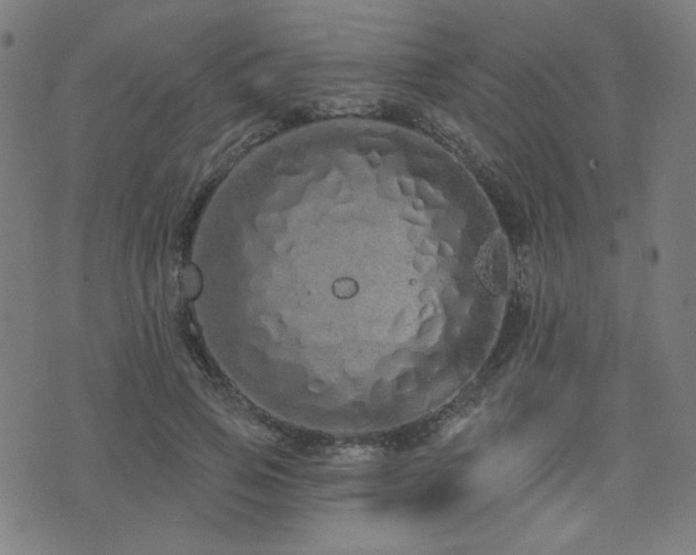 X0000072990741200607211158