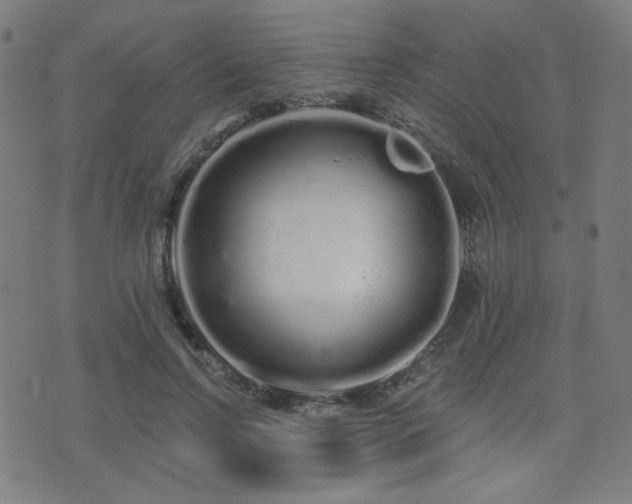 X0000072990742200607211158