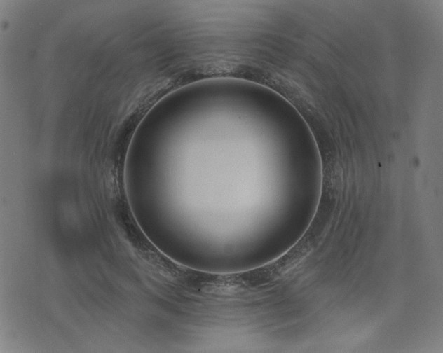 X0000072990743200607211158