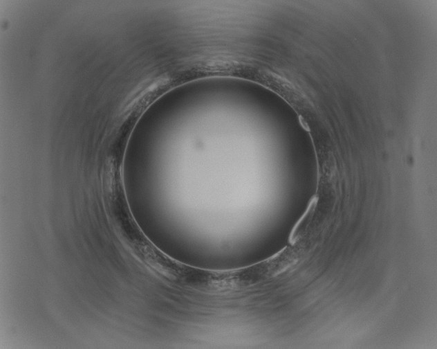 X0000072990744200607211158