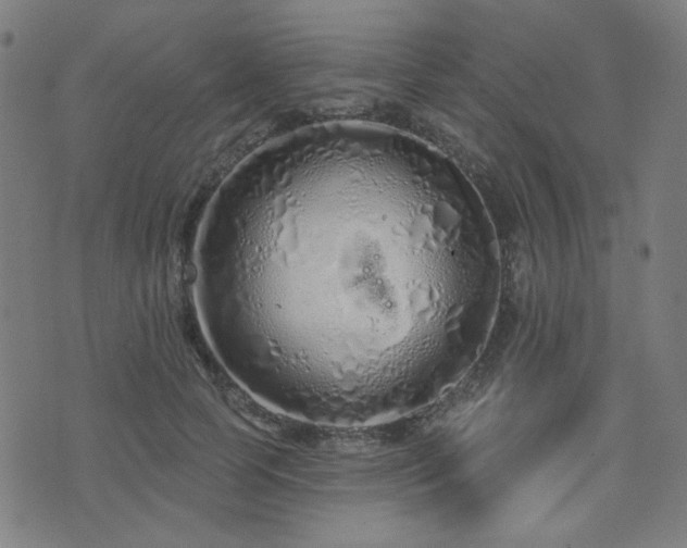 X0000072990745200607211158