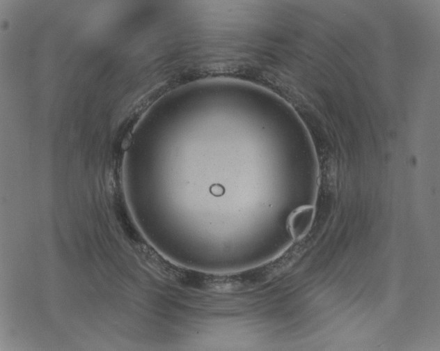 X0000072990746200607211158