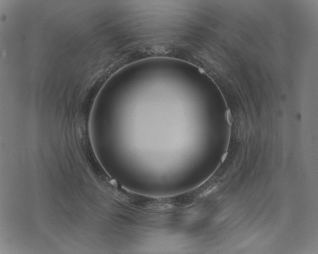 X0000072990747200607211158