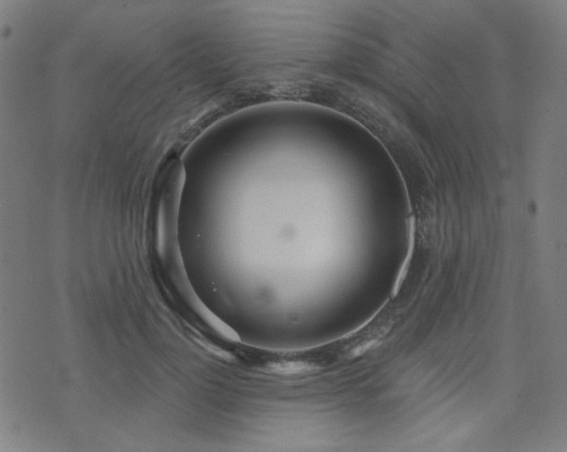 X0000072990748200607211158