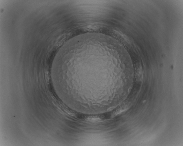 X0000072990749200607211158