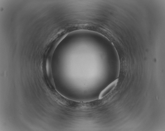 X0000072990750200607211158