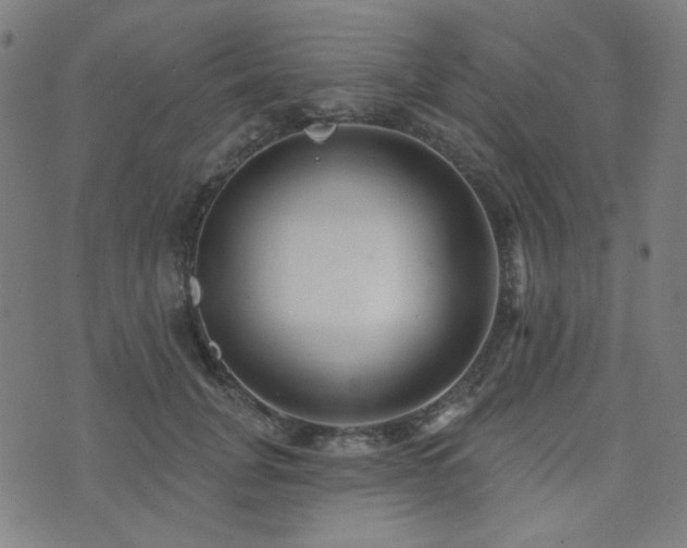 X0000072990751200607211158