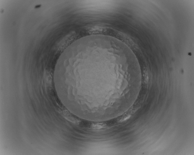 X0000072990753200607211158