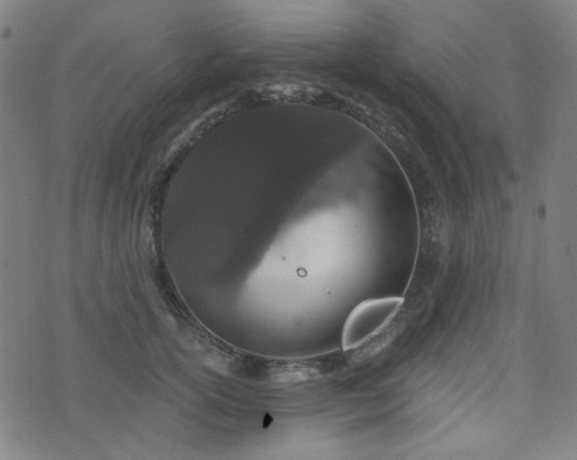 X0000072990754200607211158