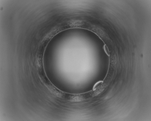 X0000072990755200607211158