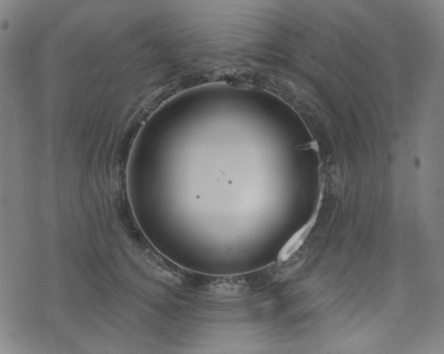 X0000072990756200607211158