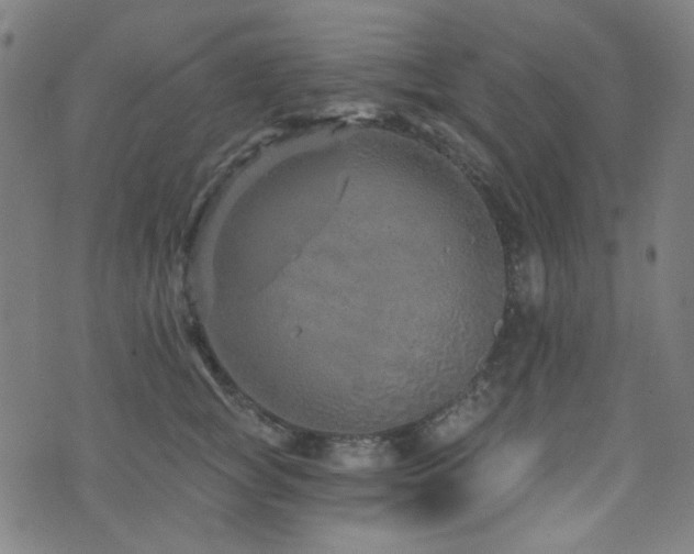 X0000072990757200607211158