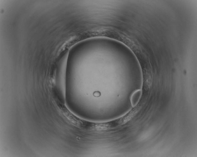 X0000072990758200607211158