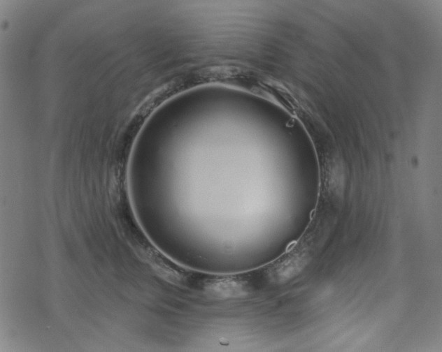 X0000072990759200607211158