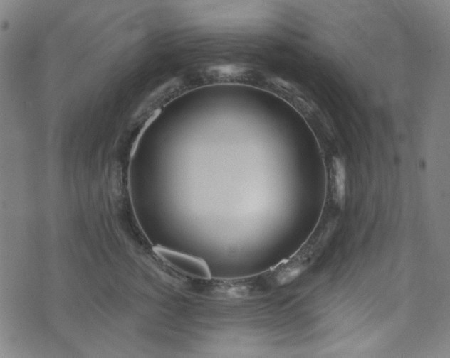 X0000072990760200607211158