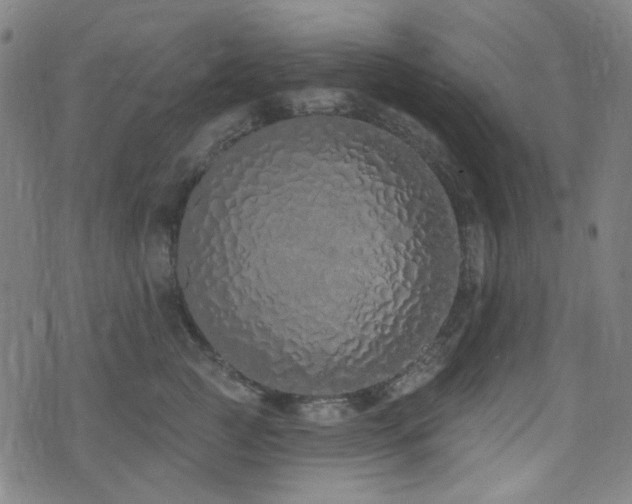 X0000072990761200607211158