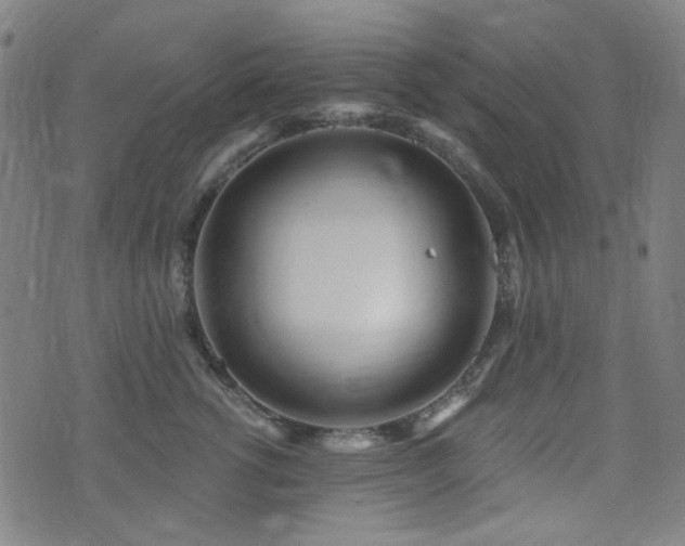 X0000072990762200607211158