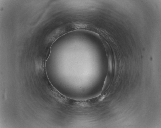 X0000072990763200607211158