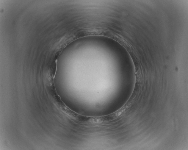 X0000072990764200607211158