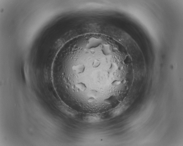 X0000072990765200607211158