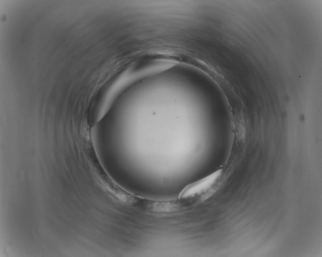 X0000072990766200607211158