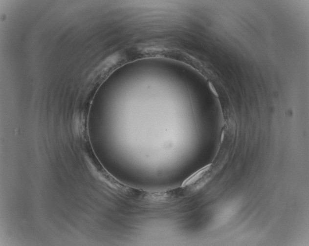 X0000072990767200607211159