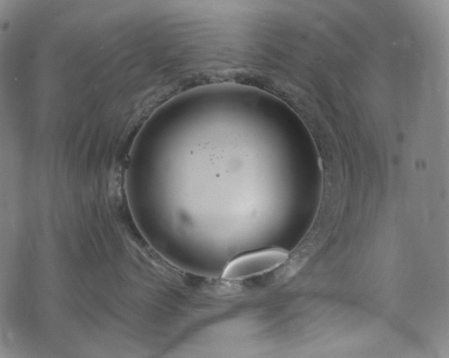 X0000072990768200607211159