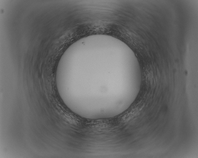 X0000072990769200607211158