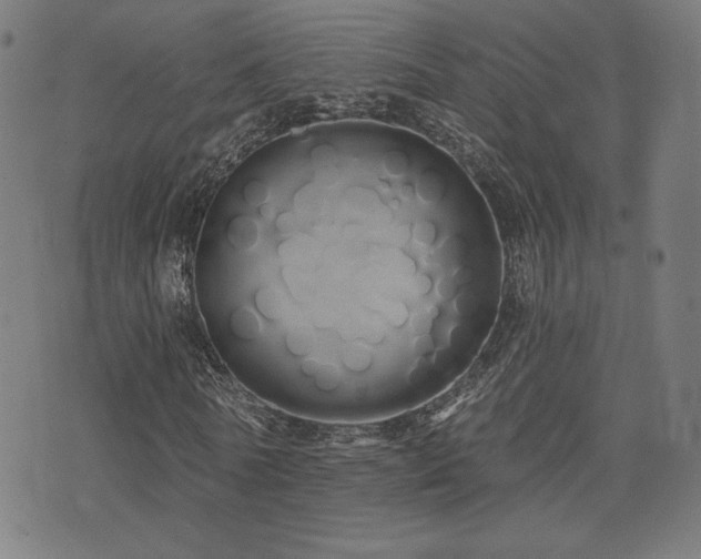 X0000072990770200607211158