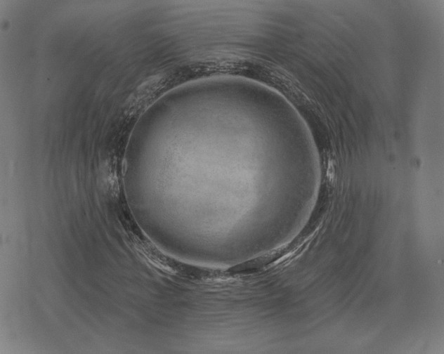 X0000072990771200607211158