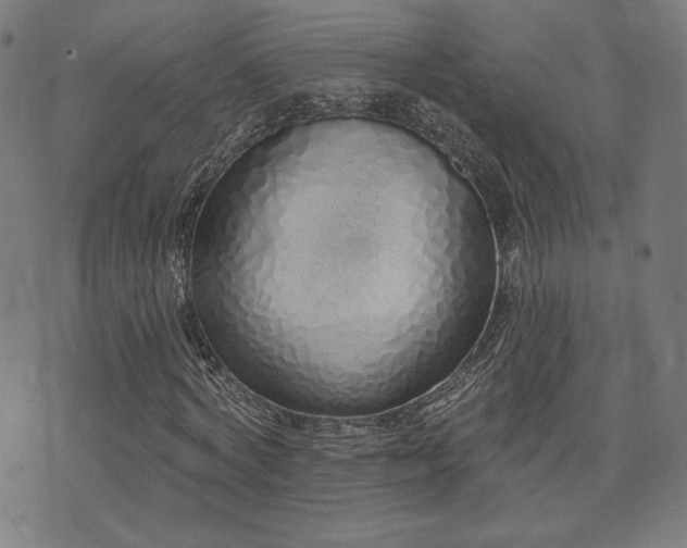 X0000072990772200607211158