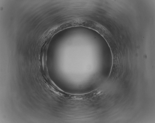 X0000072990773200607211158