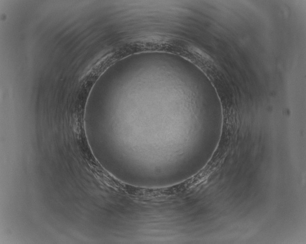 X0000072990774200607211158