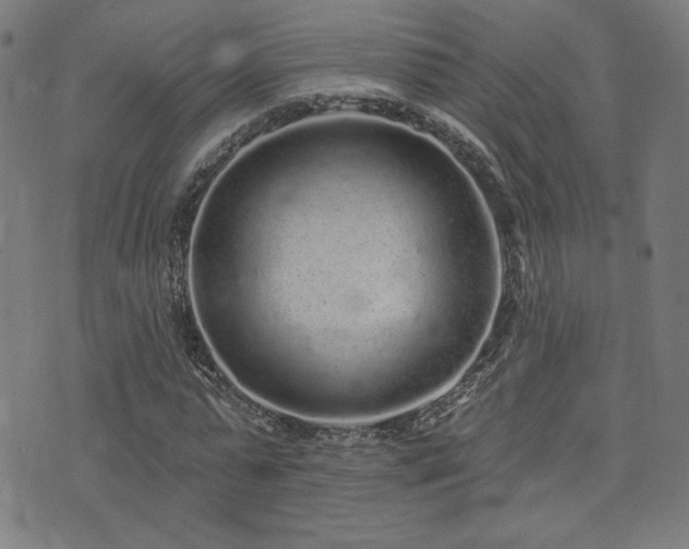 X0000072990775200607211158