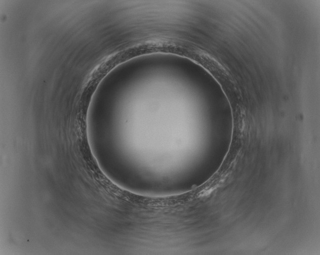 X0000072990776200607211158