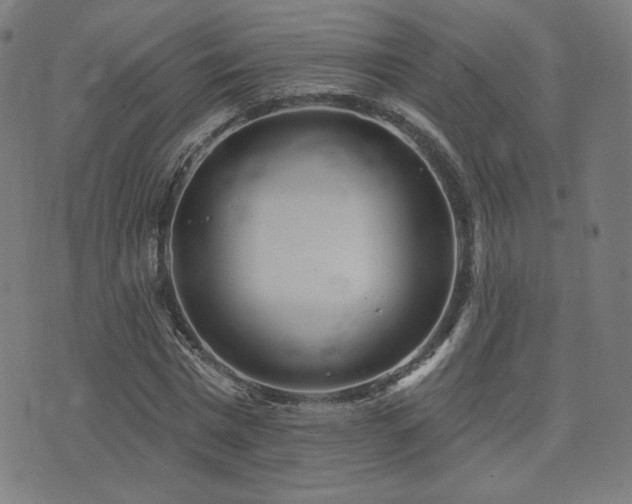 X0000072990777200607211158